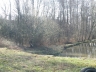 p4030487_.jpg